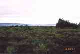 Culloden Moor